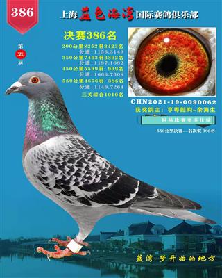 【蓝湾386名】恭喜拍中鸽友！！！