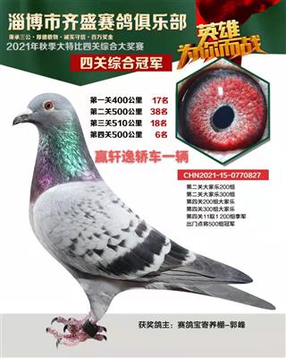 2021年秋齐盛俱乐部特比四关鸽王总冠军