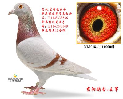 新奥林匹克直孙女