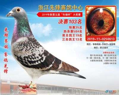 先锋公棚三关鸽王13名