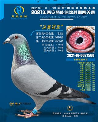 西安慧能决赛总冠军