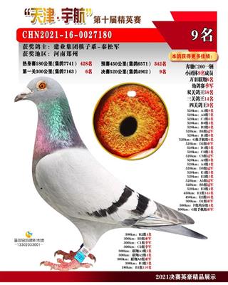天津宇航公棚决赛9名