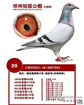 郑州铂霖公棚决赛20名