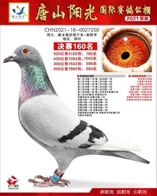 唐山阳光公棚决赛160名