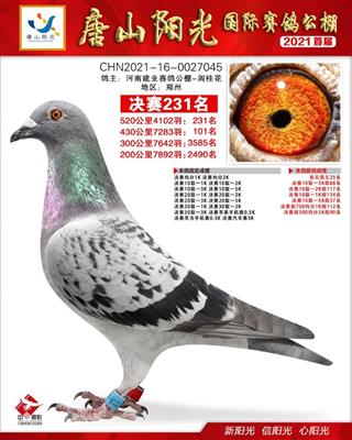 唐山阳光公棚决赛231名