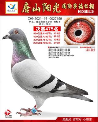 唐山阳光公棚决赛475名