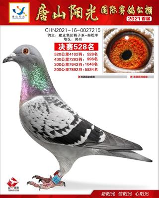 唐山阳光公棚决赛528名