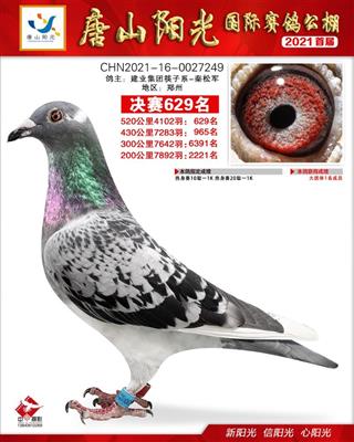 唐山阳光公棚决赛629名