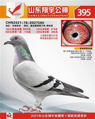 山东翔宇公棚决赛395名