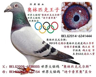 奥林匹克王子