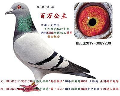 百万公主
