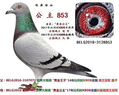 超级公主