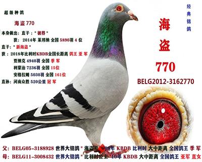 海盗 770