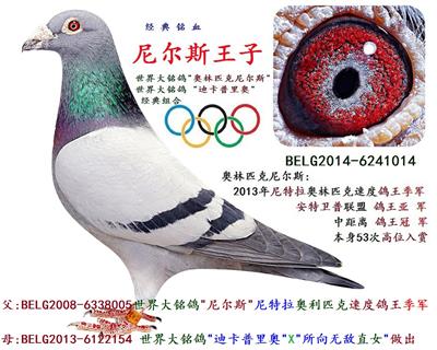 尼尔斯王子