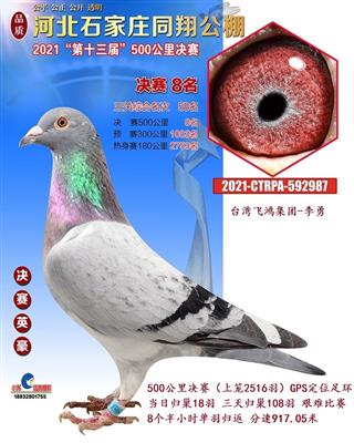 2021年同翔公棚决赛 8名
