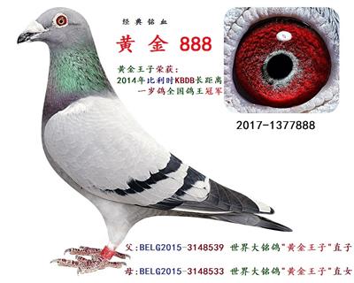 黄金 888