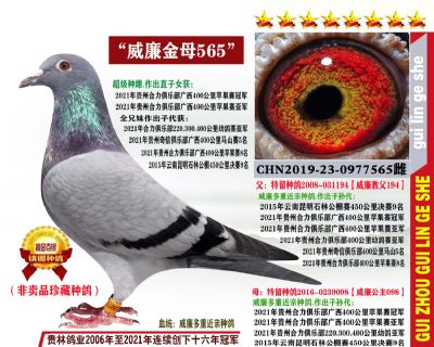 21年苹果赛冠军母亲