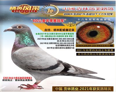 21年合力苹果赛冠军