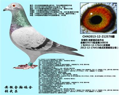 勃默德212578
