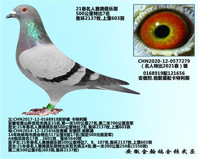 勃默德配卡特利斯     0577279