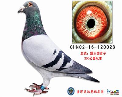 霸王小子