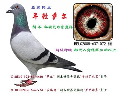 年轻萨尔号