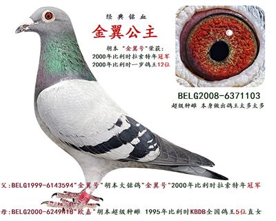 金翼公主