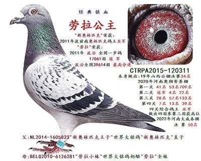 劳拉公主