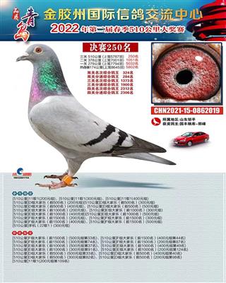2022年金胶州国际赛鸽公棚决赛250名