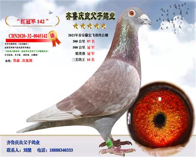 红冠军142