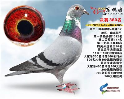 2022年山东桃园赛鸽公棚决赛360名