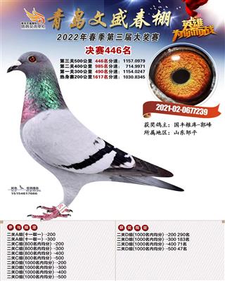 2022年青岛文盛公棚春决赛446名