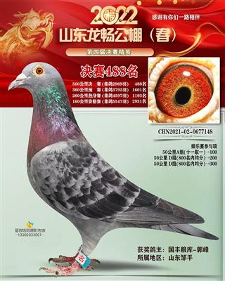 2022年山东龙畅公棚春决赛488名
