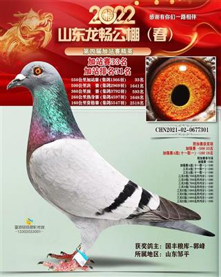 2022年山东龙畅公棚加站精英33名