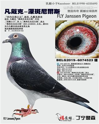 凡戴克-深斑尼尔斯