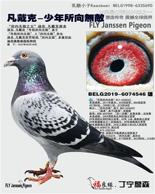 凡戴克-少年所向无敌