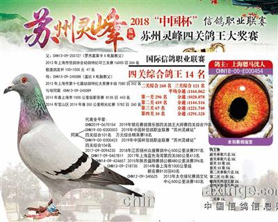 骠马0454