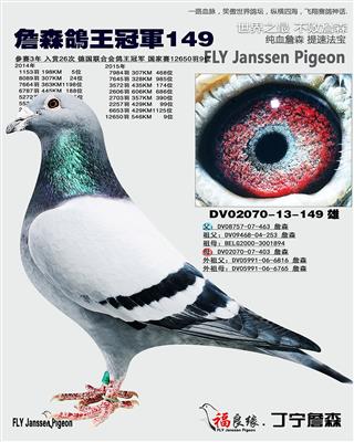 詹森鸽王冠军149