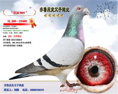好灰009