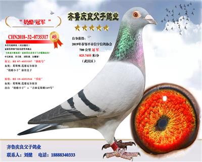 奶酪小子“冠军317”