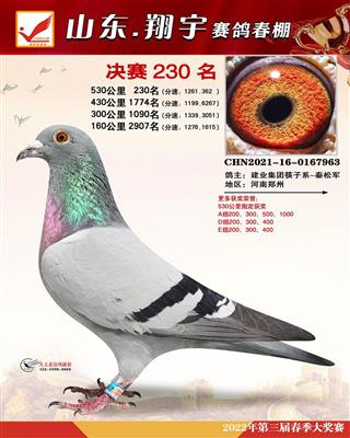 山东翔宇公棚决赛230名
