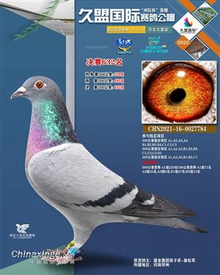 河北久盟国际赛鸽公棚决赛632名