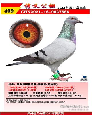 河南信义公棚决赛409名