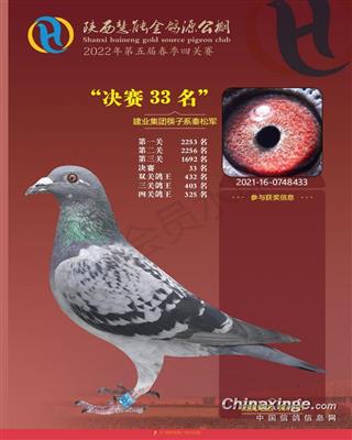 陕西慧能金鸽源公棚决赛33名