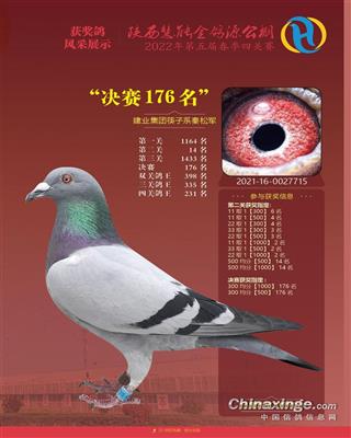 陕西慧能金鸽源公棚决赛176名