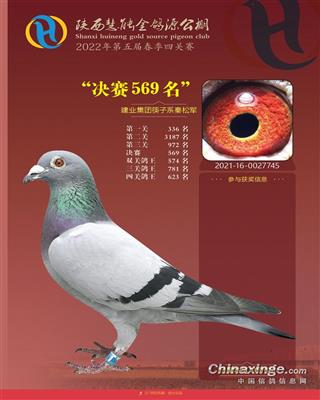 陕西慧能金鸽源公棚决赛569名