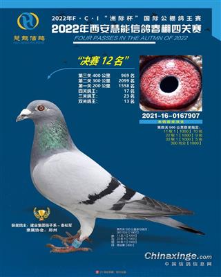 西安慧能公棚决赛12名