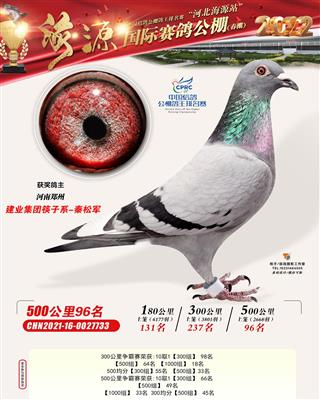 河北海源国际公棚决赛96名