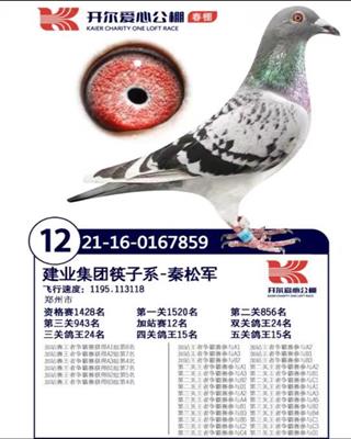 开尔春棚加站赛12名