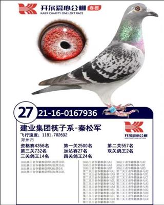 开尔春棚加站赛27名